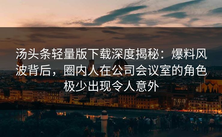 汤头条轻量版下载深度揭秘：爆料风波背后，圈内人在公司会议室的角色极少出现令人意外